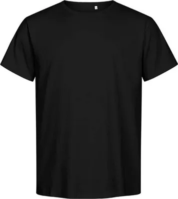 Produktbild von Premium Organic T-Shirt Plus Size Herren, Schwarz, 4XL