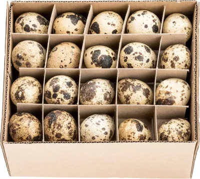 A cardboard box filled with quail eggs.
