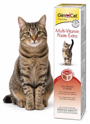 Immagine prodotto di GIMPET Multi-Vitamin-EXTRA, 50 g PST, Immagine generata dall'IA