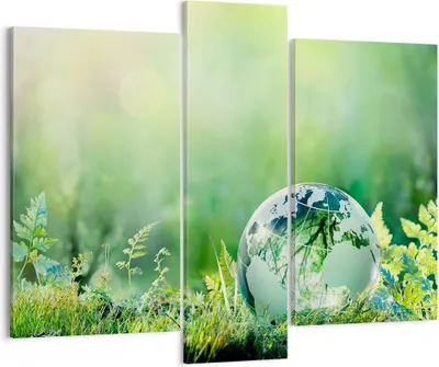 Produktbild von Bild auf Leinwand - Leinwandbild - natur natur - 95x80cm - Wand Bild - Wanddeko - Wandbilder - Leinwanddruck - Bilder - Kunstdruck - Wanddekoration - Leinwand bilder - Wandkunst - CB95x80-4041