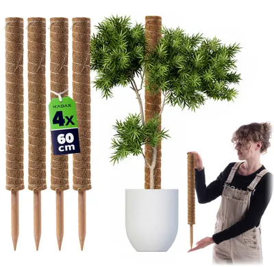 Produktbild von KADAX Pflanzstab aus Kokosnussholz, 60 cm, Topfstütze, 4 Stück