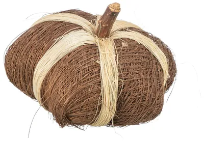Produktbild von TRIXIE Kokosspielzeug Kürbis, 9 x 6 cm