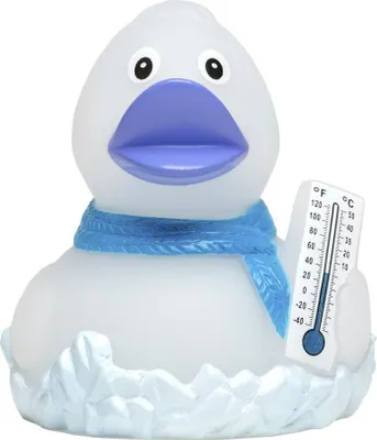 Produktbild von A - Frosty - Eisig - Winterente – Quietscheente - Badeente - ca. 8 cm gross