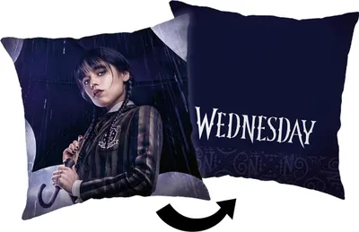 Produktbild von Jerry Fabrics Dekorační povlak na polštář 40x40 Wednesday rain blue JF24