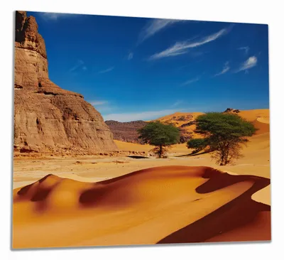 Produktbild von Wallario Herdabdeckplatte aus Glas, Größe 60 x 52 cm 1-teilig, Motiv In der Wüste Sahara
