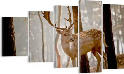 Produktbild von Bild auf Leinwand - Leinwandbild - Kitz Hirsch Tier wild - 100x60cm - Wand Bild - Wanddeko - Leinwanddruck - Bilder - Kunstdruck - Wanddekoration - Leinwand bilder - Wandkunst - EG100x60-2400