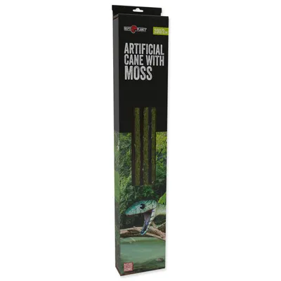 Produktbild von Dekoration Liane mit Moos Länge 200 cm 2 cm