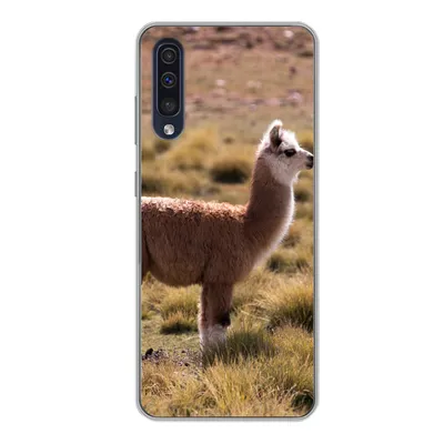 Produktbild von MuchoWow® Handyhülle Schutzhülle Hülle für Samsung Galaxy A50 Alpaka - Braun - Natur Silikon Softcase Handy Hülle - Mobiltelefonhülle
