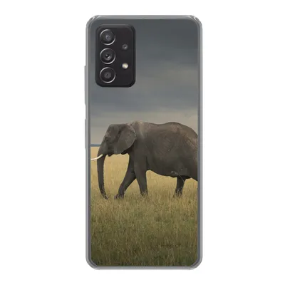 Produktbild von MuchoWow® Handyhülle Schutzhülle Hülle für Samsung galaxy a73 Elefant - Savanne - Tiere - Natur Silikon Softcase Handy Hülle - Handyhülle