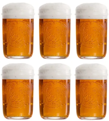 Immagine prodotto di Bicchieri da birra Lagunitas 300 ml - 6 pezzi