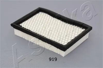 Produktbild von Luftfilter ASHIKA 20-09-919 für CHRYSLER VOYAGER II (ES) Filtereinsatz