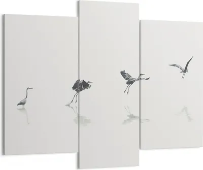 Produktbild von Bild auf Leinwand - Leinwandbild - 3 Teile - Flug Vogel Reiher - 130x100cm - Wand Bild - Wanddeko - Wandbilder - Leinwanddruck - Bilder - Wanddekoration - Leinwand bilder - Wandbild - CB130x100-5096