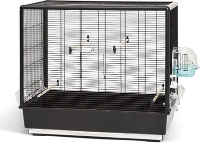 Zdjęcie produktu dla Nobby 20710, Papuga długoogonowa, Czarny, Metaliczny, Metal, Plastik, 800 mm, 500 mm, 700 mm