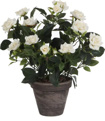 Zdjęcie produktu dla Mica Decorations Sztuczny krzew róży w doniczce Stan - H33 x Ø25 cm - Biały