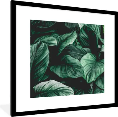 Produktbild von MuchoWow® Gerahmtes Poster Dschungel - Blätter - Tropisch - Pflanzen - Natur 40x40 cm - Poster mit Schwarzem Bilderrahmen Wandposter Rahmen Foto Bilder - Poster - Plakat im Rahmen