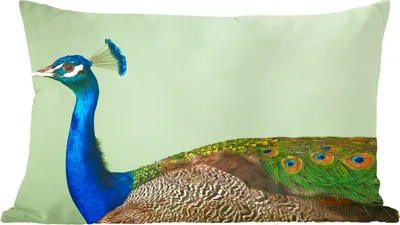 Produktbild von MuchoWow® Zierkissen Sofakissen Wohnzimmer Dekokissen 50x30 cm Pfau - Vogel - Federn - Wohnzimmerdekoration - Polster mit Photo
