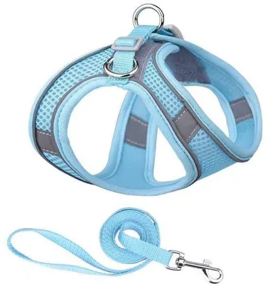 Produktbild von Kleiner Hundehalsband - Anti-Flucht-Halsband - Verstellbarer Hundehalsband - Leuchtender Hundehalsband - Kleine und mittlere Größe - XS