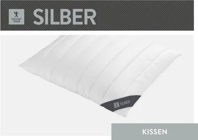 Produktbild von Spessarttraum Kissen Faserkissen Silber 80 x 80 cm