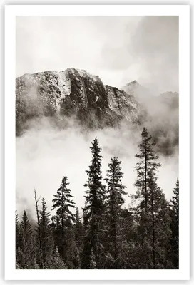 Produktbild von Poster - Poster ohne Rahmen - Nebel Berg Wald - 61x91,5 cm - Wand Bild - Wanddeko - Wandbilder - Kunstposter - Wandposter - Bilder - Kunstdruck - Wanddekoration - Wandbild - P2XPA61x91-4936