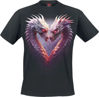Produktbild von Spiral T-Shirt Herren Heart Of Dragons schwarz M