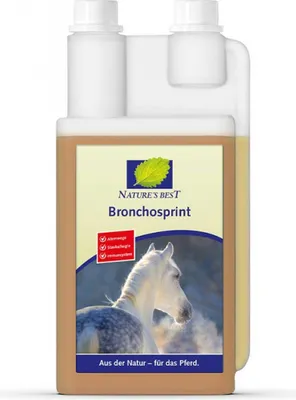 Produktbild von Natures Best Bronchosprint 500 ml