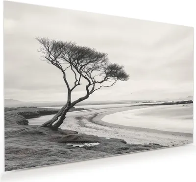 Produktbild von Glasbild 60x40cm in XXL für Wohnzimmer, Schlafzimmer Motiv Einsamer Baum am Meer