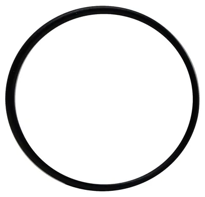 Productafbeelding van O-ring voor UV-C-lamp voor Laguna Pressure-Flo