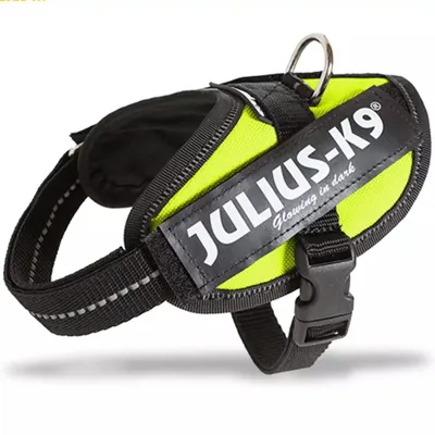 Obrázok produktu pre Julius-K9® IDC® Powergeschirr® Baby 2/Mini-Mini/Mini 33–45 cm/18 mm neónovo zelená
