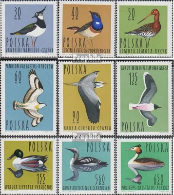 Produktbild von Briefmarken Polen 1964 Mi 1490-1498 (kompl.Ausg.) postfrisch Wasservögel