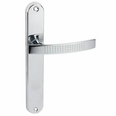 A silver door handle with a plate is shown against a white background.