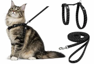 Immagine prodotto di Pettorina fenicottero con guinzaglio per gatti di taglia grande Elza nero