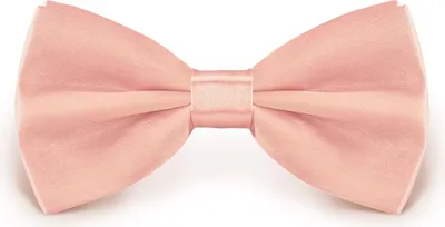 Produktbild von Fliege Zartrosa Größe verstellbar aus Polyester einfarbig uni schmale 12 cm