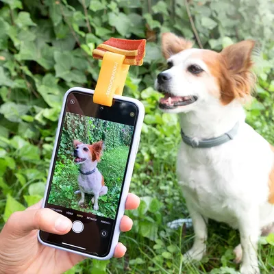 Obrázek produktu pro Selfie klip pro domácí mazlíčky Pefie InnovaGoods