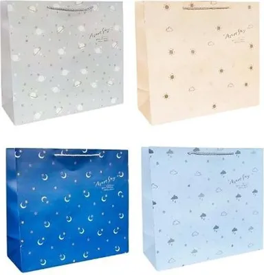 Image de Sac cadeau M