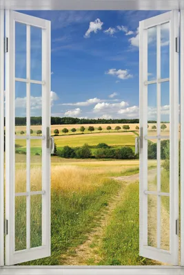 Produktbild von Wallario Poster mit Fenster-Illusion: Feldlandschaft unter blauem Himmel, Größe: 61 x 91,5 cm (Maxiposter)