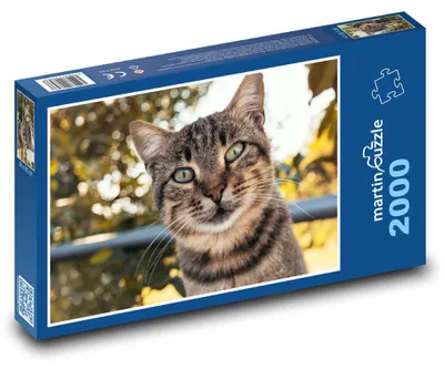 Produktbild von Puzzle 2000 Katze im Garten - martinpuzzle