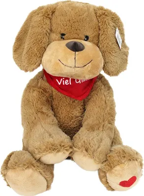 Produktbild von Plüschtier Hund braun mit Halstuch "Viel Glück - ca. 28 cm