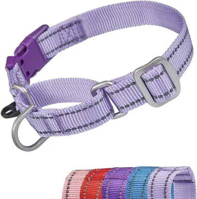 Produktbild von Reflexionshemmendes Halsband für Hunde - Lichtreflexionsfähigkeit - Schnellverschlusssystem - Geeignet für Hunde mit kleinen Schädeln.