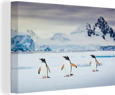 Produktbild von OneMillionCanvasses® - Leinwandbilder - 150x100 cm, Drei Pinguine, Wandbilder Kunstdruck Wanddekoration