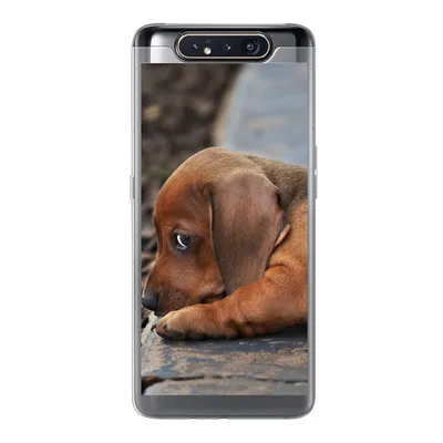 Produktbild von MuchoWow® Handyhülle Schutzhülle Hülle für Samsung Galaxy A80 Dackelwelpe liegt am Rande des Bürgersteigs Silikon Softcase Handy Hülle - Schutzdeckel