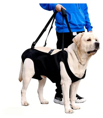 Produktbild von Tragehilfe für Hunde, Mobilitätshilfen für Hunde, Hebegeschirr für Rehabilitation, Für behinderte, verletzte oder ältere Hunde (M)
