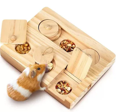 Image de Solidchoice - Jouet en bois 6-en-1 pour petits animaux