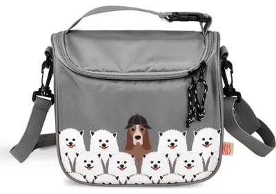 Obrázek produktu pro Dětská termotaška LunchBag - šedá