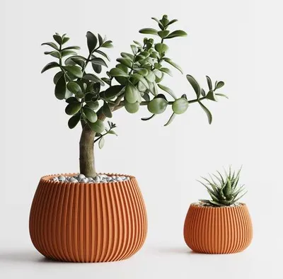 Immagine prodotto di Vasi rotondi in stile minimalista con texture a strisce verticali | Ideali per piante, cactus e bonsai | 2 misure | Realizzati a mano in Italia