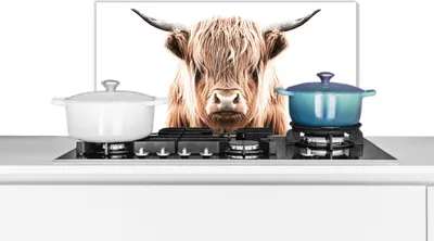 Produktbild von KitchenYeah®  Spritzschutz Küche - Küchenrückwand - Wandschutz für Herd und Spüle - Schottisches Hochlandrind - Kuh - Tiere 70x30 - Alu-Dibond (Alternative zum Spritzschutz aus Glas) - Hitzebeständig