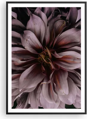 Produktbild von Gerahmtes Poster - Schwarzer Rahmen - Blumenstrauß Künstlerisch Blume - 70x100 cm - Wand Bild - Wanddeko - Wandbilder - Kunstposter - Wandposter - Bilderrahmen - Bilder - Kunstdruck - P2BPA70x100-5019