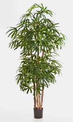 Produktbild von artplants.de Künstliche Steckenpalme, 1003 Blätter, 200cm - hochwertige künstliche Palme - Kunstpflanzen
