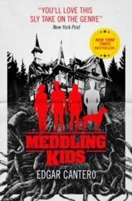 Image de Meddling Kids