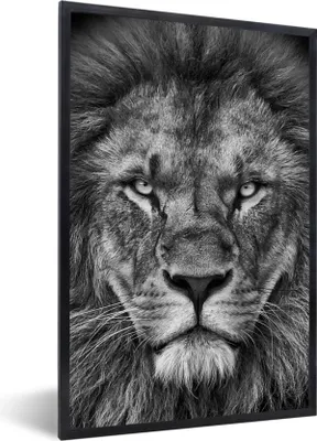 Produktbild von MuchoWow® Gerahmtes Poster Tiere - Löwe - Schwarz - Weiß - Porträt 40x60 cm - Poster mit Schwarzem Bilderrahmen Wandposter Rahmen Foto Bilder - Papierdruck - Wandbilder