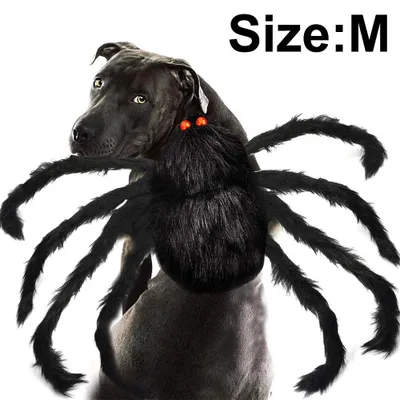 Produktbild von Halloween Haustierkostüm Spinne, Plüsch-Spinnenkostüm für Hunde und Katzen, verstellbares Cosplay-Outfit mit 8 Beinen, S/M/L für mittelgroße und kleine Hunde